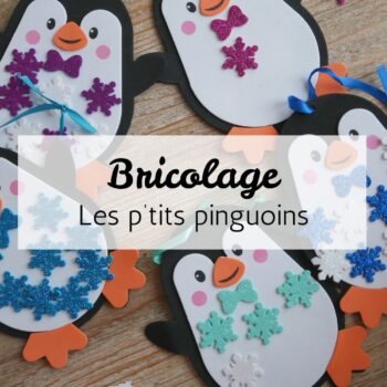 Kit Bricolage : les pinguoins