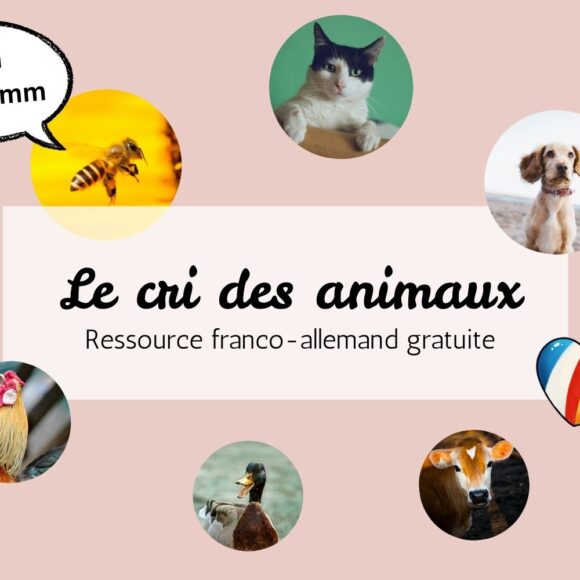 Apprendre le nom des animaux ainsi que leur cri en allemand