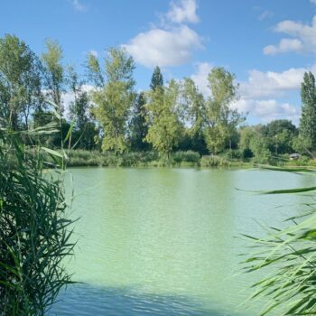Le lac du coin en été